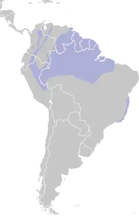 Distribución geográfica del saltarín coroniblanco.