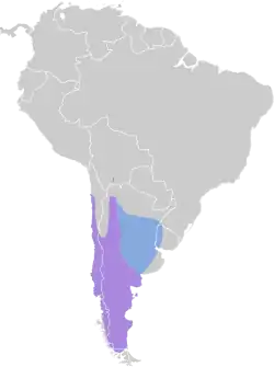 Distribución geográfica de la diuca común.