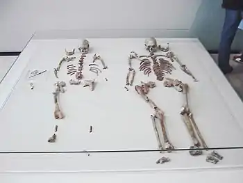 Enterramiento de Oberkassel, con el esqueleto de mujer a la izquierda y de hombre a la derecha de unos 15 mil años de antigüedad. En el margen izquierdo dos objetos trabajados y a los pies parte de una mandíbula de perro.