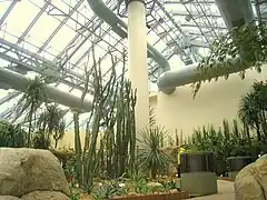 "Dry Plant House" (Casa de las plantas de climas áridos).