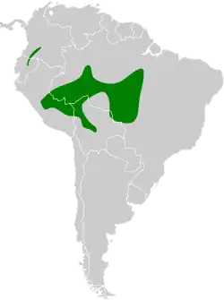 Distribución geográfica del tiluchí estriado occidental.