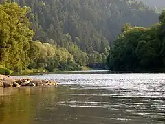 Salida de la Garganta cerca de Szczawnica.