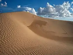 Desierto con dunas,Samalayuca, Chihuahua
