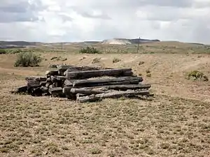 Durmientes abandonados y apilados al costado del terraplén tras el desmantelamiento de 2005. Se observan desde Ruta 26.