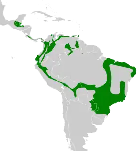 Distribución geográfica del batarito cabecigrís.