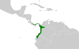 Distribución geográfica del batarito coronipunteado.
