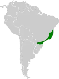Distribución geográfica del batarito pechipinto.