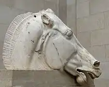 Uno de los caballos de Helios, en el frontón este del Partenón, de Fidias (ca. 440 a. C.)