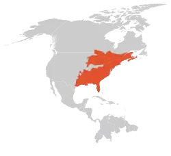 Distribución de la tritón del este