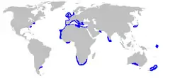 Distribución geográfica (en azul)