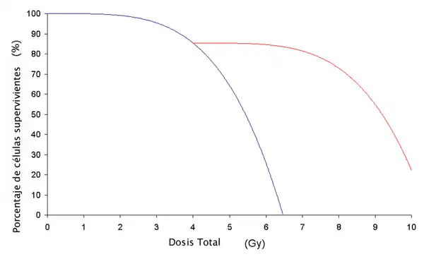 Este es un gráfico que muestra el efecto de fraccionar la capacidad de los rayos gama para producir la muerte celular. La línea azul es para las células que no tuvieron un período de recuperación,  mientras que la línea roja es de las células que tuvieron un período de descanso y recuperación.