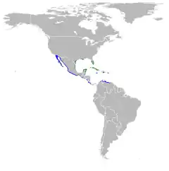      Nidificación      Invernada      Todo el año