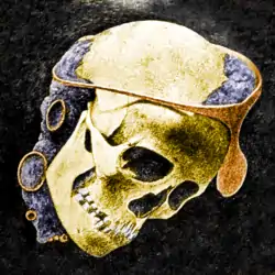 Restos de un cráneo con la típica diadema de plata argárica
