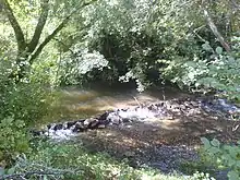 Riberas del río Cega