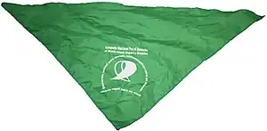 El Pañuelo verde, símbolo de la campaña