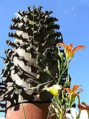 La Lucha del Hombre por la Cima, de Carlos J. Prada, Sede Sartenejas.