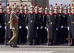 Guardia real española en color turquí.