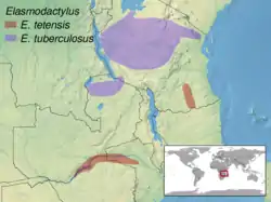 Distribución geográfica de las especies del género Elasmodactylus