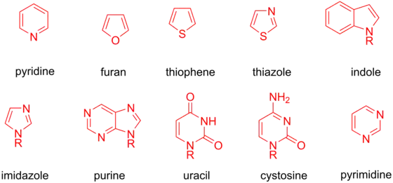 Variedad de heterocycles cuáles pueden experimentar adición