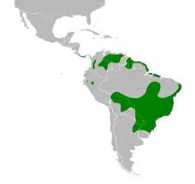 Distribución geográfica del coludo colicuña.