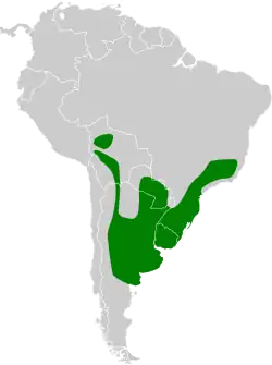 Distribución geográfica del coludo verdón.