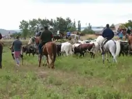 Día del Encierro Andando