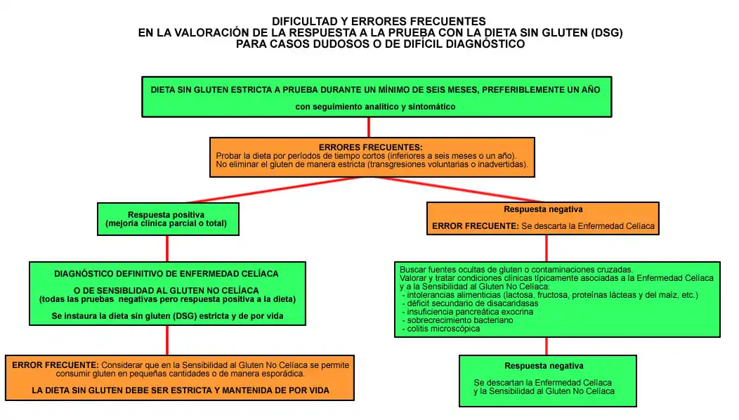 Errores frecuentes en la valoración de la respuesta a la prueba con la dieta sin gluten para casos dudosos o de difícil diagnóstico