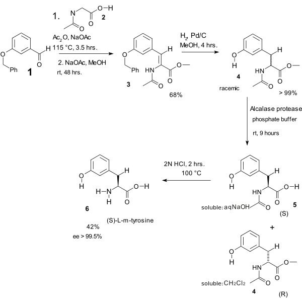 Síntesis de aminoácidos de Erlenmeyer para el aminoácido tyrosina