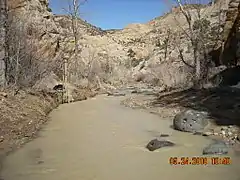 El río cerca de la localidad de Escalante (Utah)