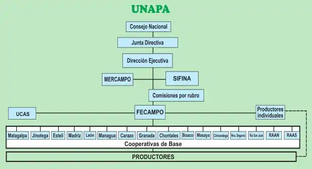 Estructura de la UNAPA.