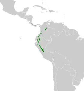 Distribución geográfica del tiluchí lomirrufo.