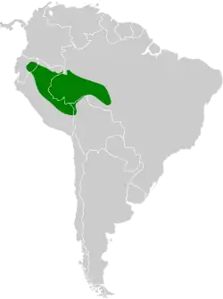Distribución geográfica del tiluchí hombrocastaño.