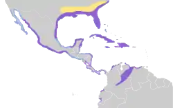 Distribución geográfica del corocoro blanco.