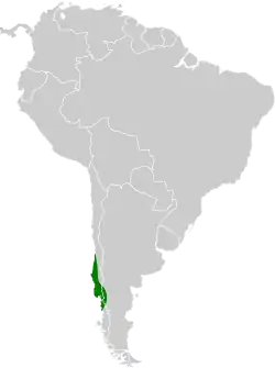 Distribución geográfica del churrín grande.