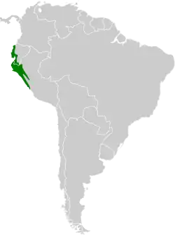 Distribución geográfica del tiranuelo caripardo.