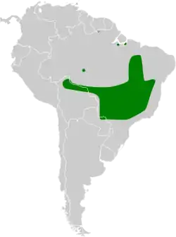 Distribución geográfica del tiranuelo flanquirrufo.