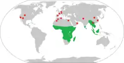 ●  Ubicación de fósiles del Eoceno-Mioceno■ Extensión de primates strepsirrhine no extintos