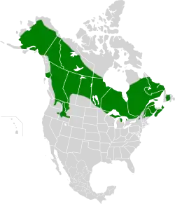 Mapa de distribución de la especie.