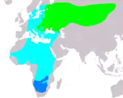 Distribución de Falco vespertinus