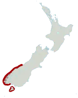 Distribución del Pingüino de Nueva Zelanda