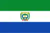 Bandera del Guaviare