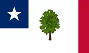 Bandera de Misisipi1861–1865