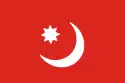 Bandera de Tunganistán (1934-1937)