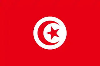 tunecino