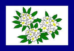 Bandera de Virginia Occidental desde 1905 hasta 1907
