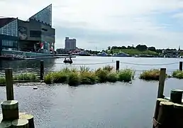 Zona de humedales flotantes para aves acuáticas