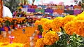 Flores de cempasúchil en la tradición mexicana