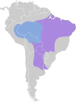 Distribución geográfica de la viudita dorsinegra.