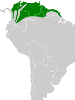 Distribución geográfica de la viudita pía.