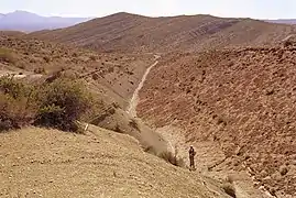 Ciclos de alta frecuencia de la Formación Agrio en la localidad de Agua de la Mula